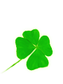 길일/길월사주